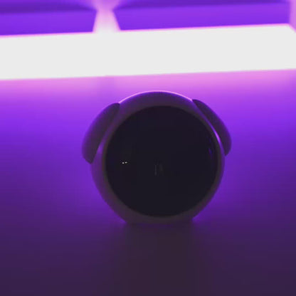 Wakey — your smart bedside buddy.